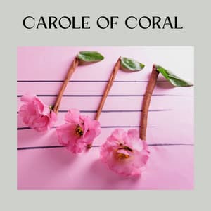 Carole of Coral - Soporific Pink Noise