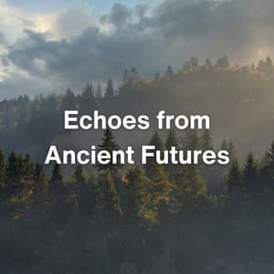 Echoes from Ancient Futures - Transcendental Meditation