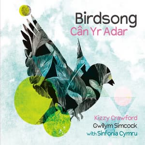 Birdsong - Kizzy Crawford