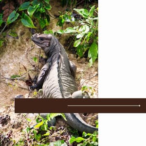 Music - Coffee Time - Luxury Jazz Radio