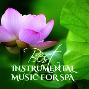 Best Instrumental Music for Spa - Beauty Spa Music Collection