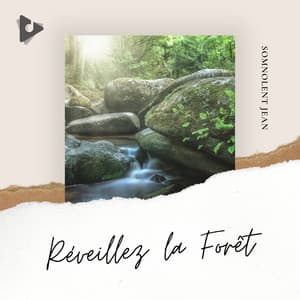 Réveillez la Forêt - Somnolent Jean