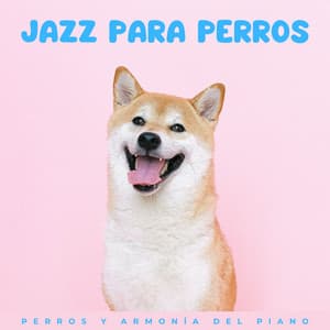 Jazz Para Perros: Perros Y Armonía Del Piano - Radio jazz suave