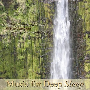 True Rest: Guided Meditations and Yoga Nidra Relaxation - Music For Deep Sleep