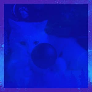 Fun Quartet Jazz - Ambiance for Relaxed and Lounging Cats - Cat Music Hour