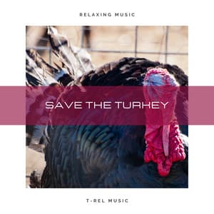 Save The Turkey - Save The Turkey