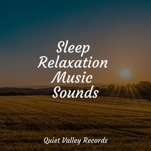 Sleep Relaxation Music Sounds - Sleep Recording Sounds