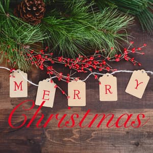 Merry Christmas - Top Christmas Songs