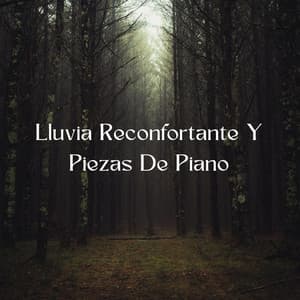 Lluvia Reconfortante Y Piezas De Piano - Maestras de piano relajantes