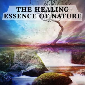 The Healing Essence of Nature - The Healing Sounds of Nature