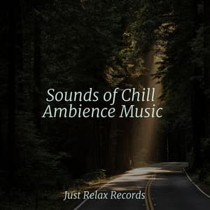 Sounds of Chill Ambience Music - Pro Sound Effects Library