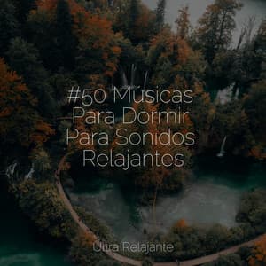 #50 Músicas Para Dormir Para Sonidos Relajantes - Massagem Coleção de Músicas