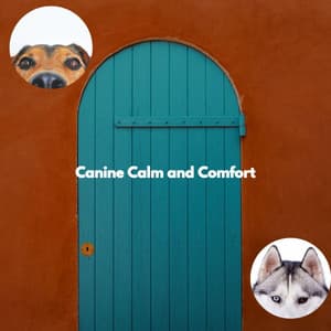 Canine Calm and Comfort - Lunch Time Jazz Playlist