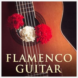 Flamenco Guitar - Guitarra Española