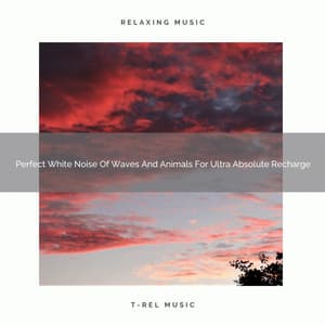 Perfect White Noise Of Waves And Animals For Ultra Absolute Recharge - Dreamy White Noise