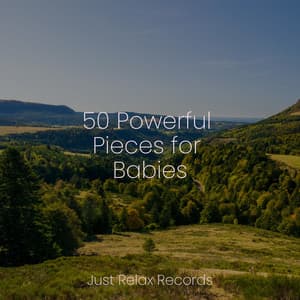 50 Powerful Pieces for Babies - Chinese Relaxation and Meditation