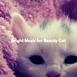 Bright Music for Beauty Cat - Dinner Party Music Chill Out