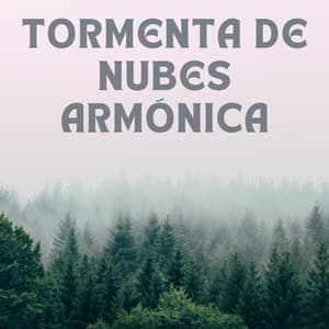 Tormenta De Nubes Armónica - Tormenta Jamaicana