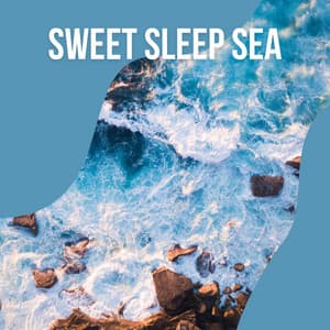 1 Sweet Sleep Sea vol. 3 - Seashore Waves
