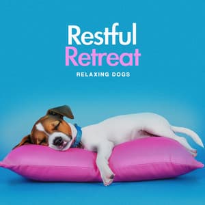 Restful Retreat - Relaxing Dogs