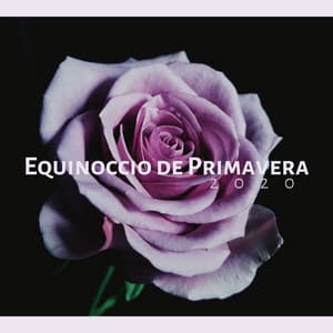 Equinoccio de Primavera 2020: Sonidos Sanadores de la Naturaleza, Lluvia y Truenos - Spa Radio Collection