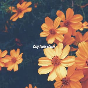 Cozy Tones of Jazz - Calm Guitar Music