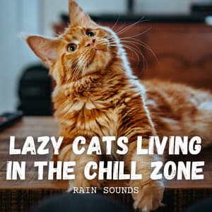 Rain Sounds: Lazy Cats Living in the Chill Zone - Rain - Spring Shower