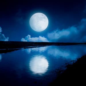 Tranquil Music for Quiet Evenings - Music for Quiet Moments