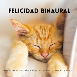 Patas Oceánicas: Felicidad Binaural Con Ondas Theta Para Gatos - Ritmo binaural