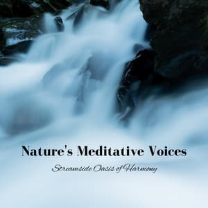 Nature's Meditative Voices: Streamside Oasis of Harmony - Meteoric Stream