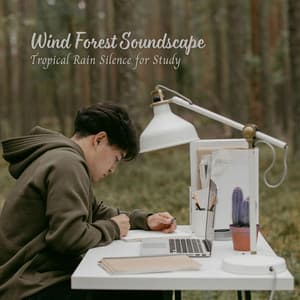 Wind Forest Soundscape: Tropical Rain Silence for Study - Rain Sound Studio