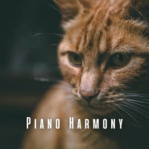 Piano Harmony: Dreamy Tunes for Contented Cats - Peaceful Piano Jazz