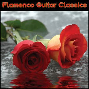 Flamenco Guitar Classics - Flamenco Guitar Masters