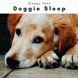 1 Doggie Sleep - Sleepy Pets