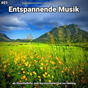 #01 Entspannende Musik als Einschlafhilfe, zum Durchschlafen und zur Heilung - Entspannungsmusik Abteilung