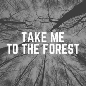 Take Me to the Forest - The Forest Escape