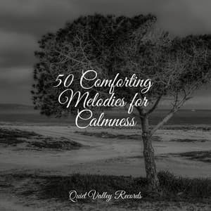 50 Comforting Melodies for Calmness - Sons da Natureza & Relaxamento