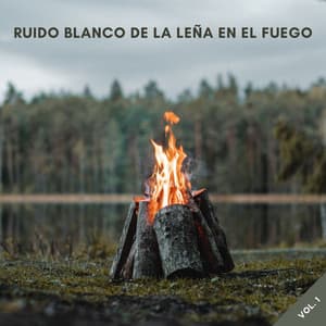 Ruido Blanco De La Leña En El Fuego Vol. 1 - Ruido Blanco Para Meditación Profunda