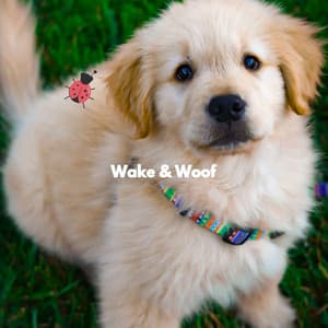 Wake & Woof - Calming Jazz For Dogs