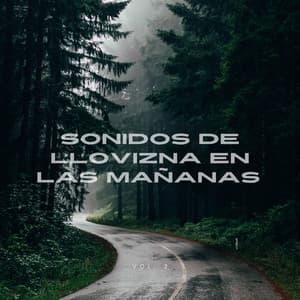 Sonidos de Llovizna en las Mañanas Vol.2 - Fabricantes De Lluvia