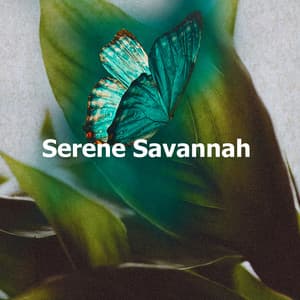 Serene Savannah - Nature Songs Nature Music