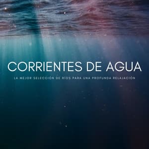 Corrientes De Agua: La Mejor Selección De Ríos Para Una Profunda Relajación - Pájaros del Bosque