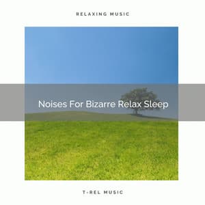 Noises For Bizarre Relax Sleep - Nature Noise
