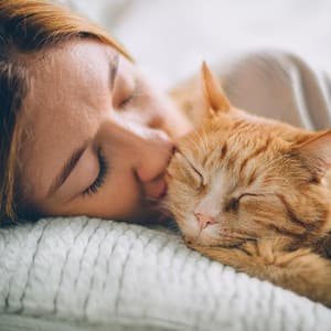 Canciones De Cuna Nocturnas Para Mascotas Dormidas - Investigación de sonidos de la naturaleza