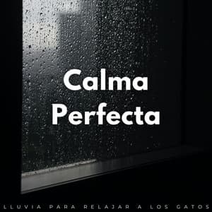 Calma Perfecta: Lluvia Para Relajar A Los Gatos - Lluvia París
