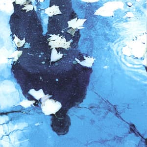 Brian Charette - Brian Charette