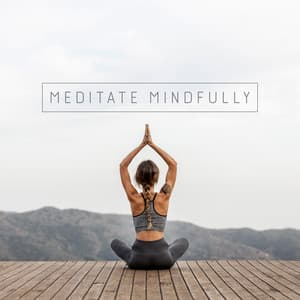 Meditate Mindfully - Beth Souls
