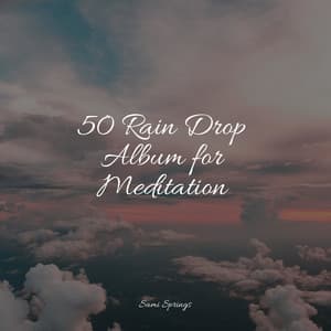 50 Rain Drop Album for Meditation - Sleep Rain