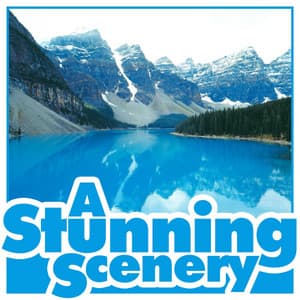 A Stunning Scenery - Life Sounds Nature