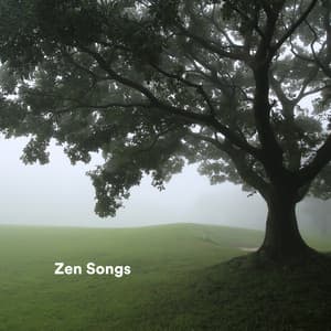 Zen Songs - Chakra Kundalini